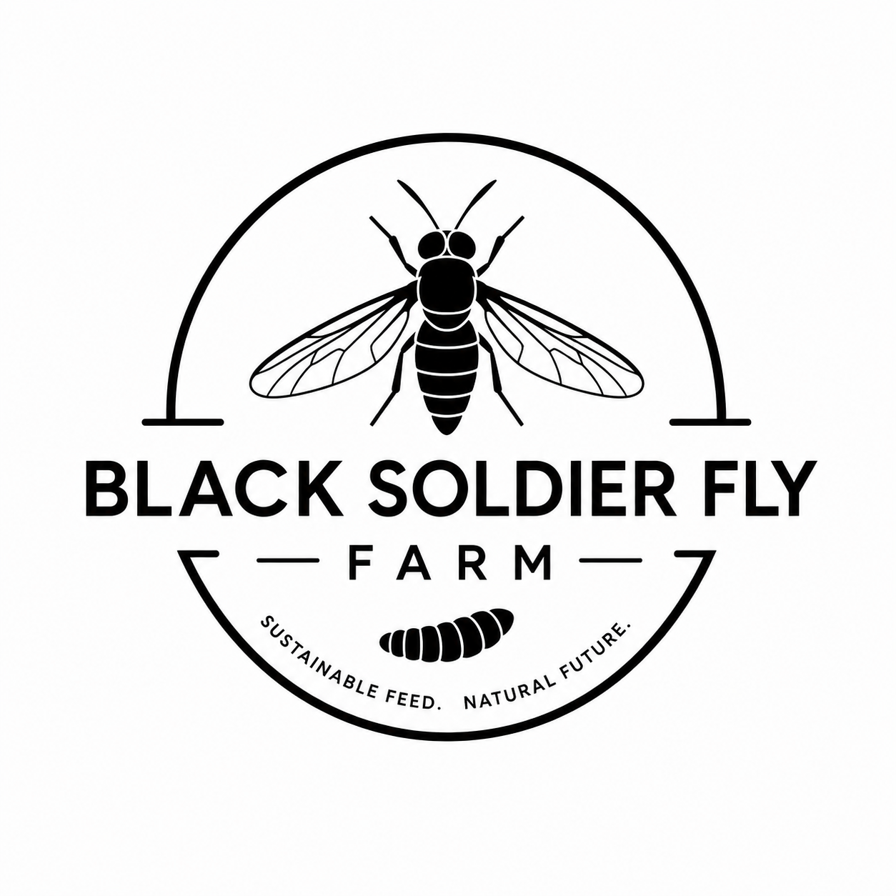 Black Soldier Fly Farm